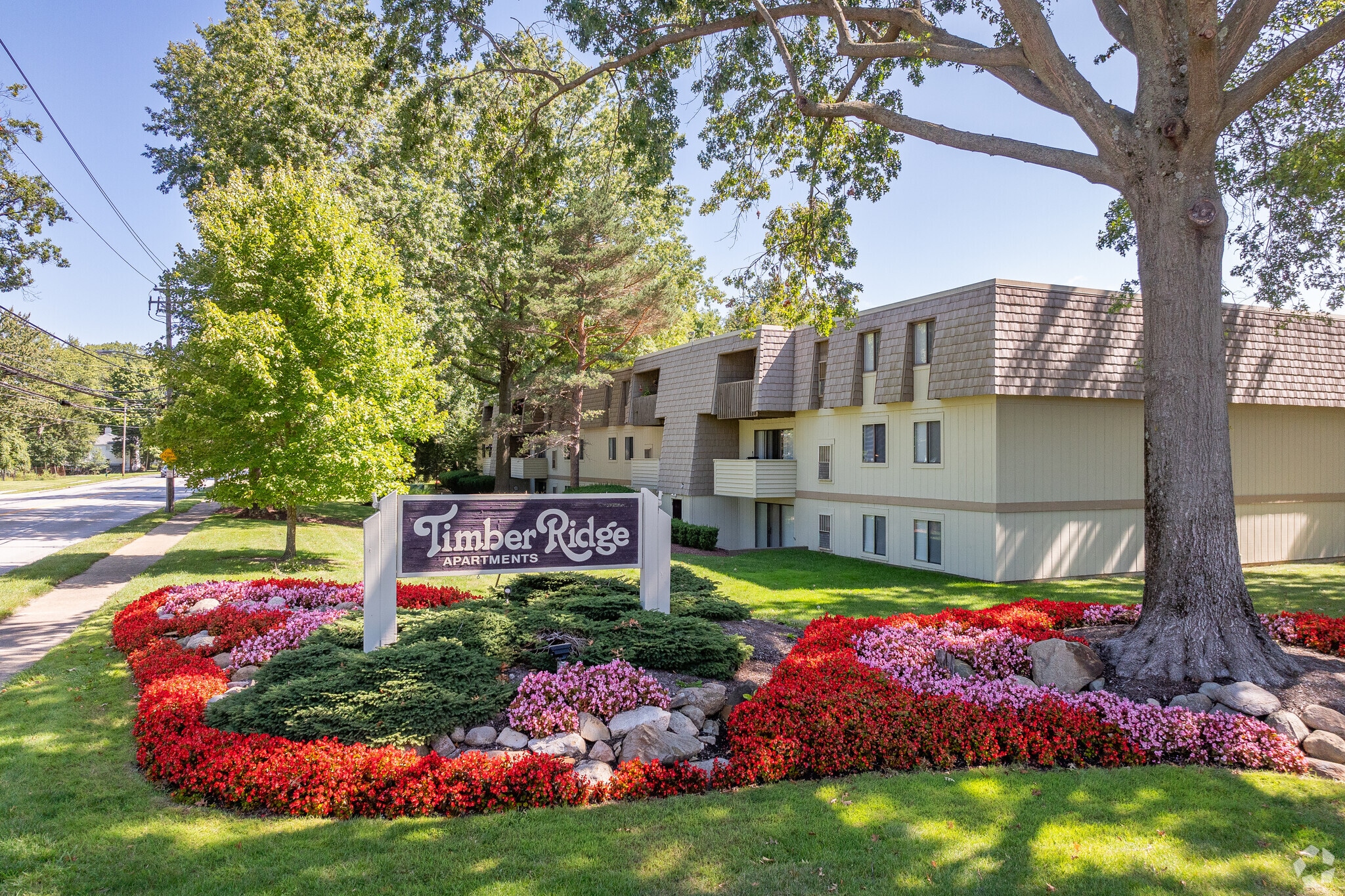Timber Ridge Apartments – photo 2