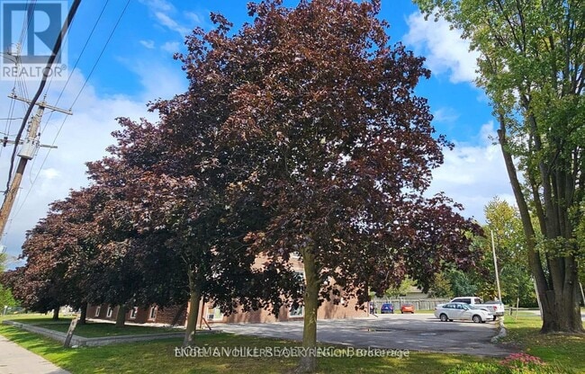 Building Photo - 86 Curtis St
