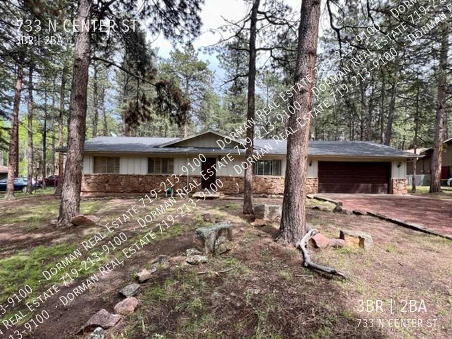 Primary Photo - Cozy home in Woodland Park