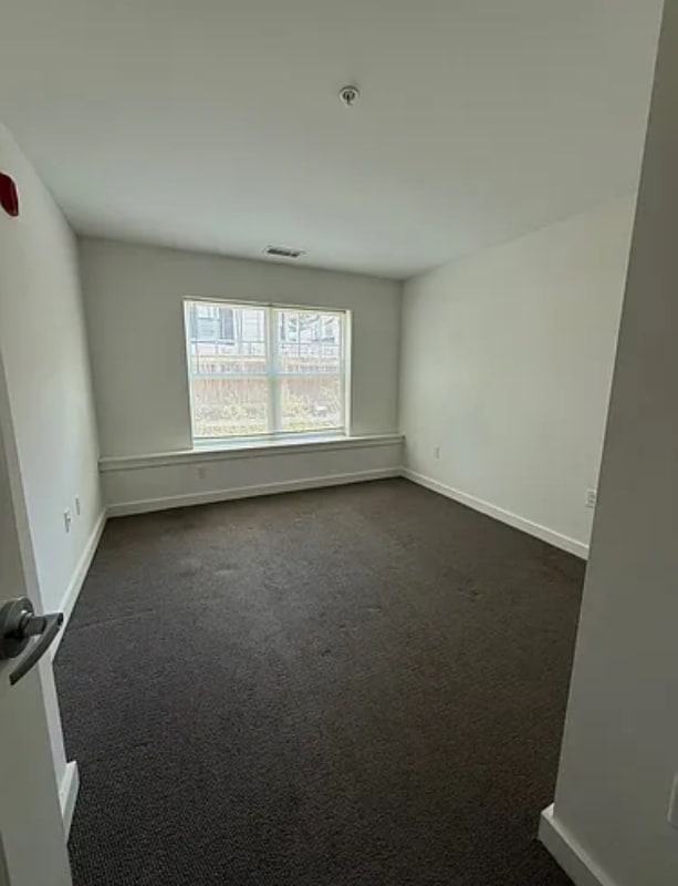 Photo - 10 Myrtle St Apartment