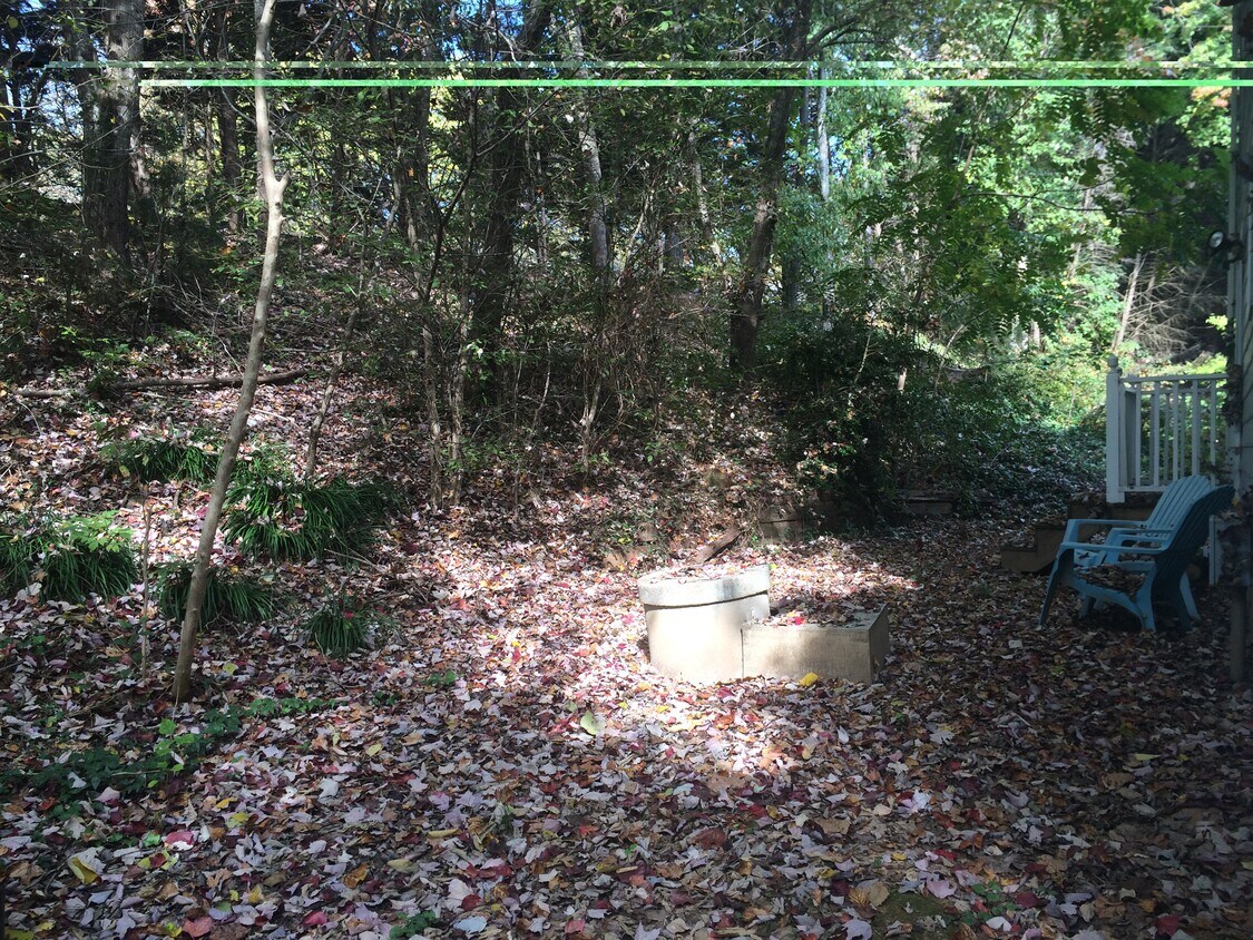 Back yard - 106 Raintree Ln