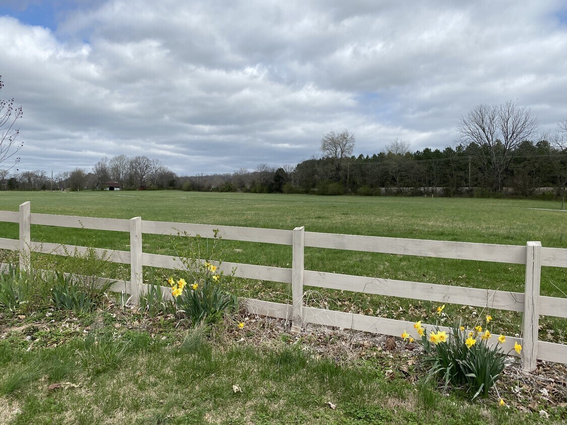 6371 McDaniel Rd, College Grove, TN 37046 House for Rent in College