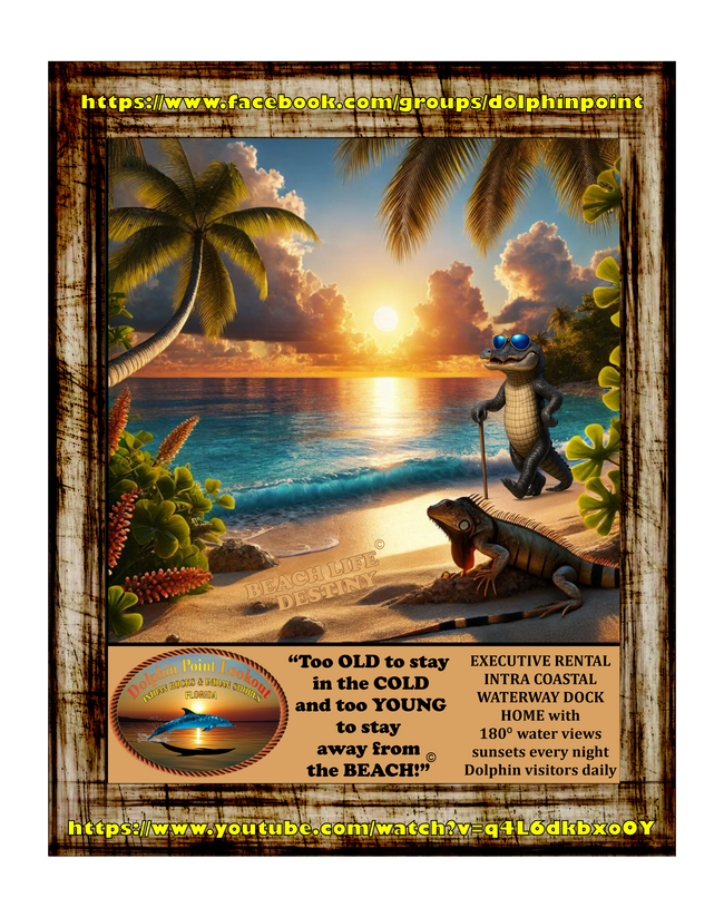 Check out Dolphin Point Lookourt - 14626 Loridawn Dr