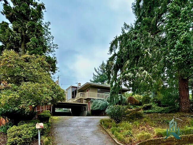 Foto del edificio - Mid-century Modern Single-family Home for Rent