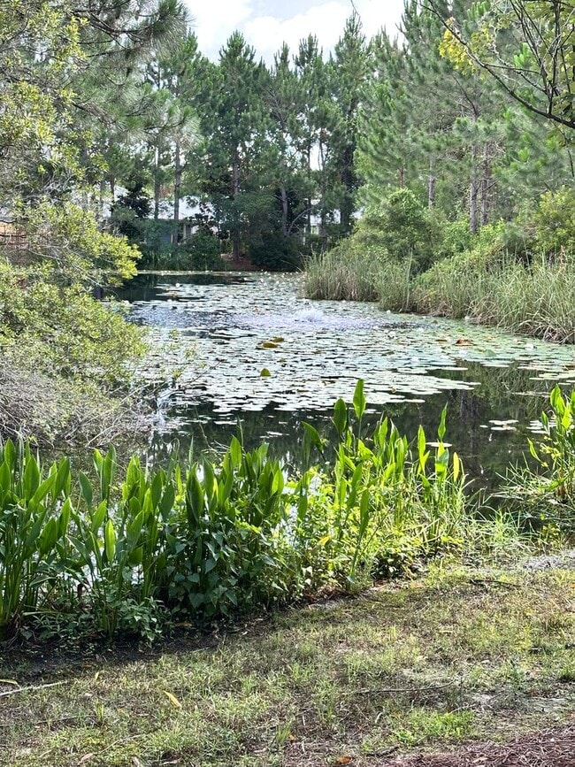 Building Photo - Spacious 3Bed/2.5Bath Townhouse in Quiet Neighborhood in Santa Rosa Beach