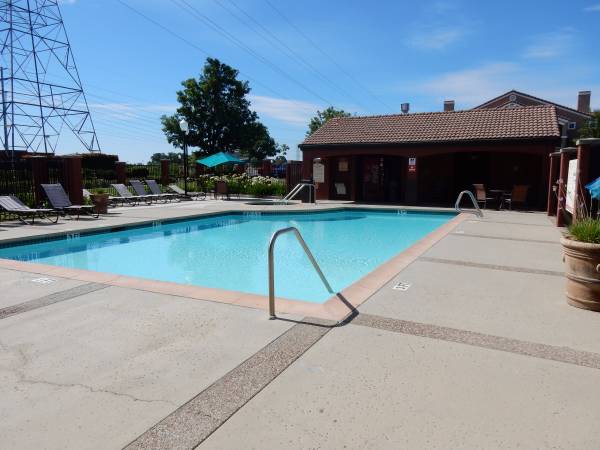 Swimming pool - 885 Halidon Way