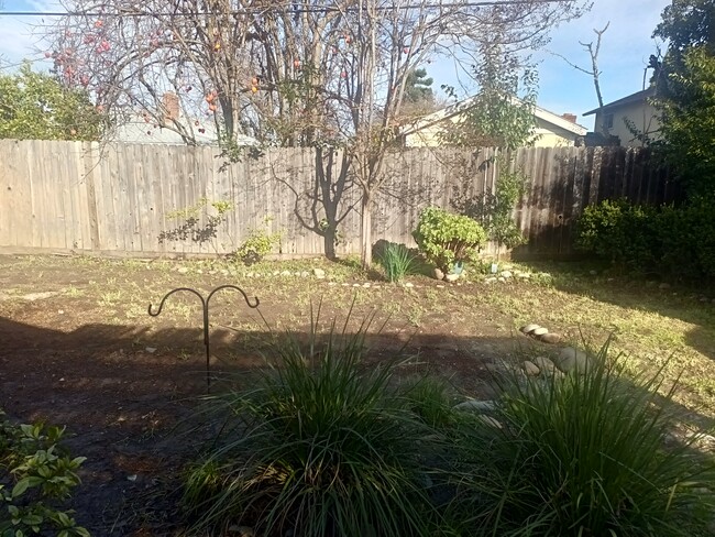 Photo - 107 Petrilli Cir House