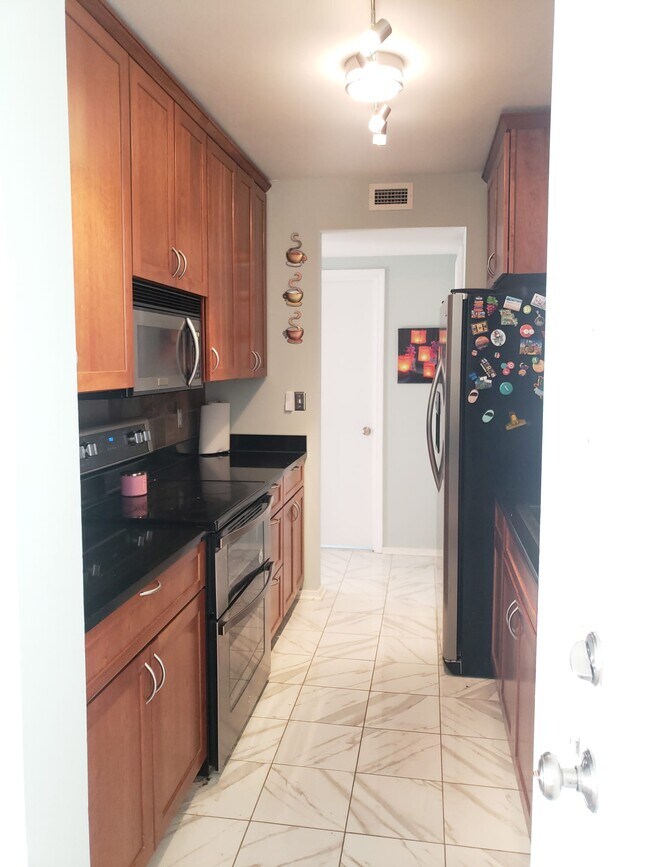 Stainless appliance equipped gallery kitchen - 1200 Nicollet Mall