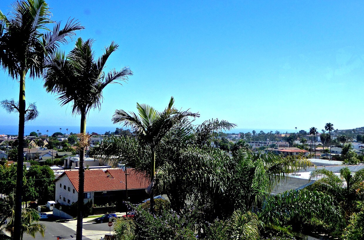 view from living room slider - 33816 Silver Lantern St