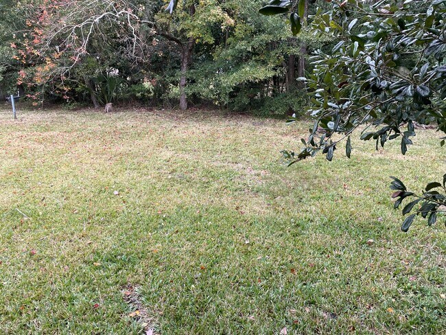 Building Photo - Westside/ Cassat Area 3/1 Single Family Home Available Now!