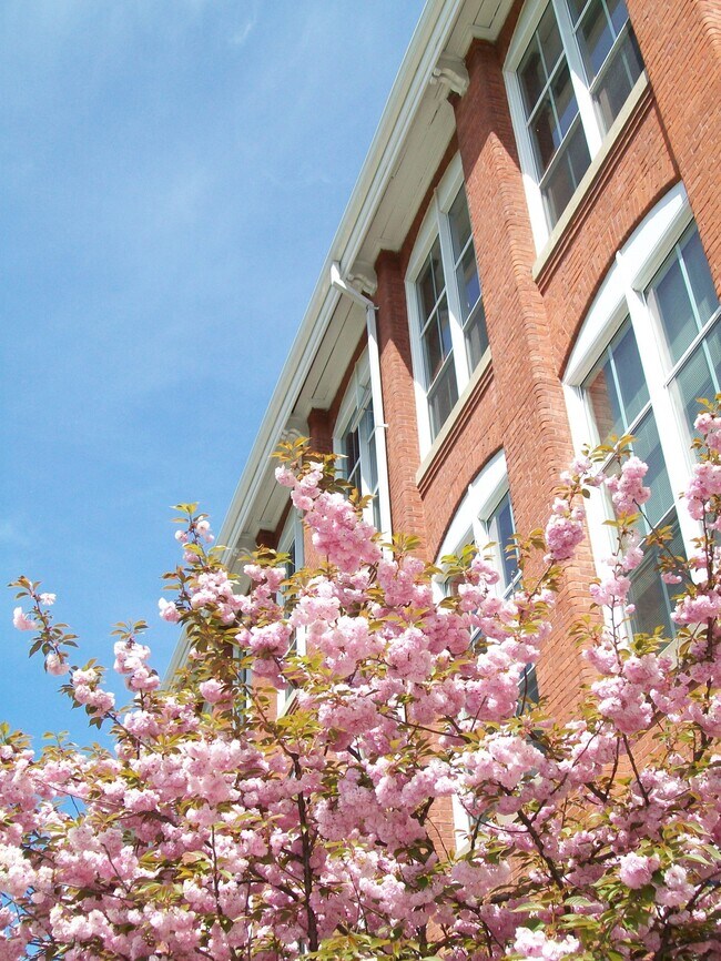 Spark Millbury Apartments in Millbury, MA