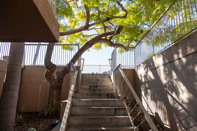 Foto del edificio - 2517 Navarra Dr