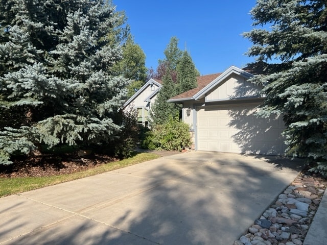 Building Photo - 1113 Angus Ct