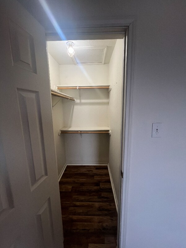 Foto del edificio - 3807 Littleleaf Ct