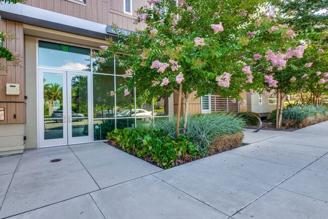 Building Photo - 2 bed 2.5 bath luxury condo