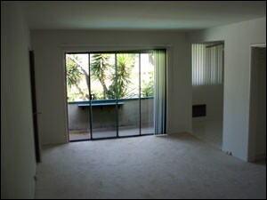 Building Photo - Aqua Vista Apartments
