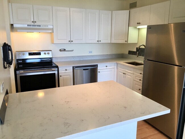 Kitchen - 3930 N Pine Grove Ave