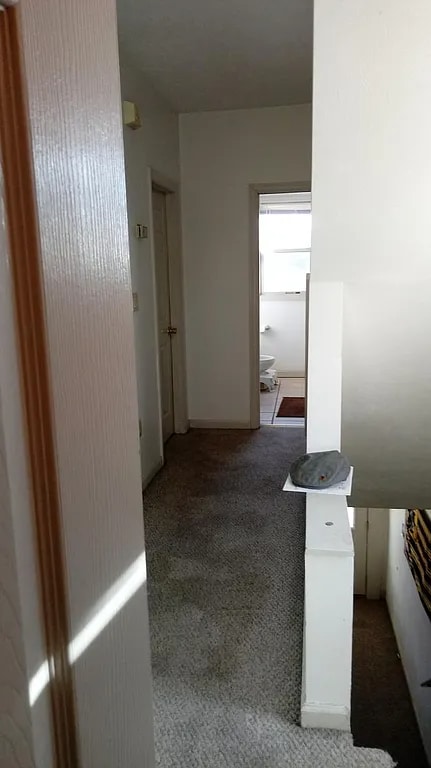 Building Photo - 136 Boggs Ave