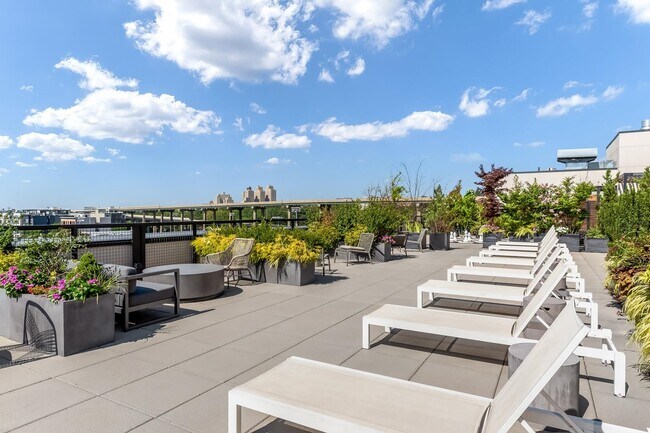 Building Photo - 255 Brunswick St