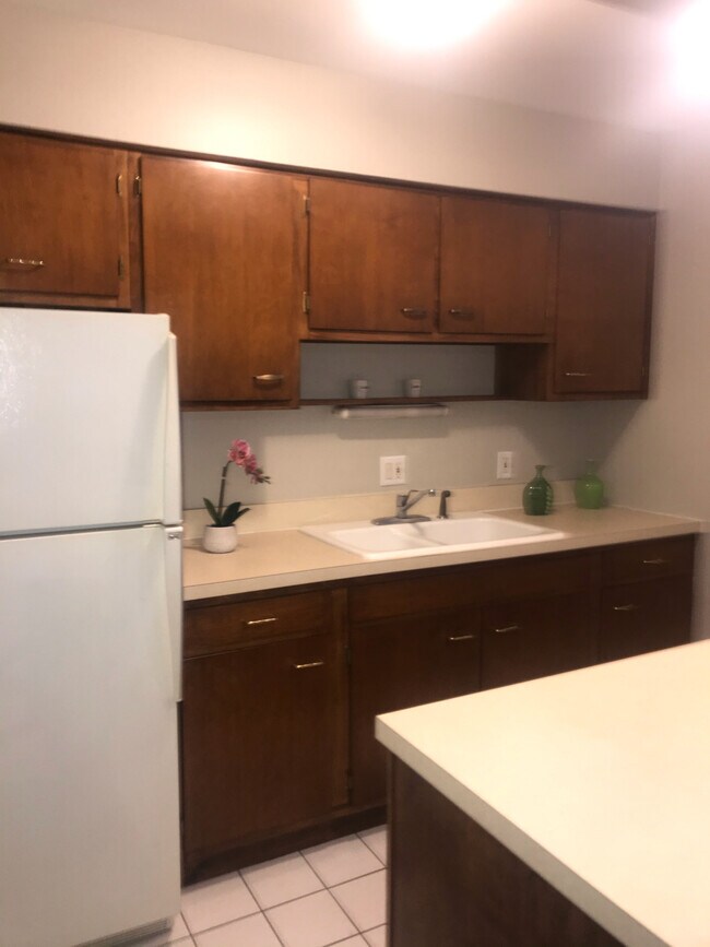 10 S Batavia Ave Unit 1h, Batavia, IL 60510 Apartment for Rent in