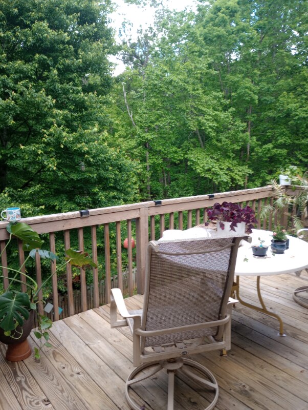 Foto del edificio - 106 Brookwoods Ln