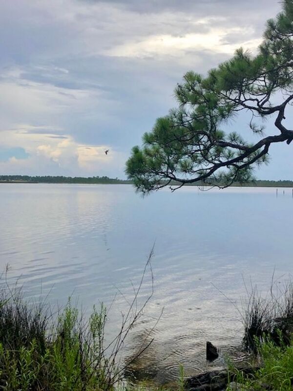 Foto del edificio - 3278 Bernath Dr