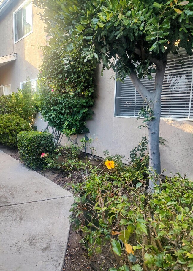 Foto del edificio - 4111 Poplar St