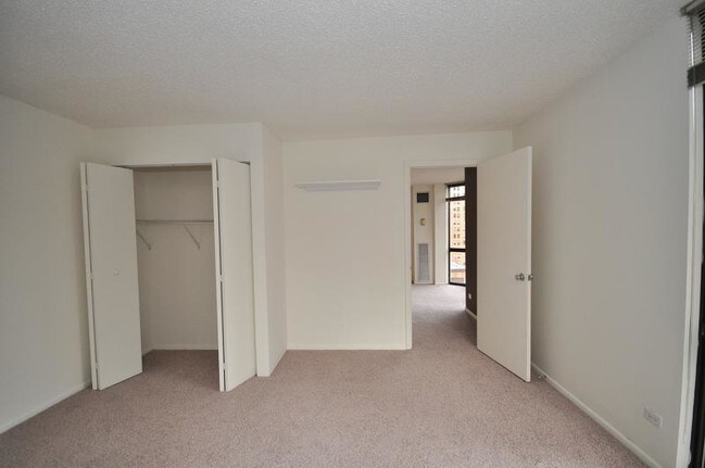 Building Photo - 1111 N Dearborn St