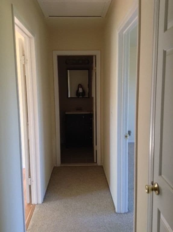 Primary Photo - 3 Dutch Ln