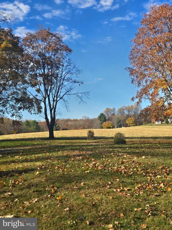 Foto principal - 1903 Glen Cove Rd