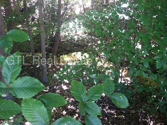 Building Photo - Pristine 3BD/2BA Ranch with Screened Porch