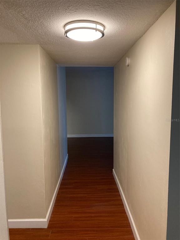 Foto del edificio - 3325 Bayshore Blvd