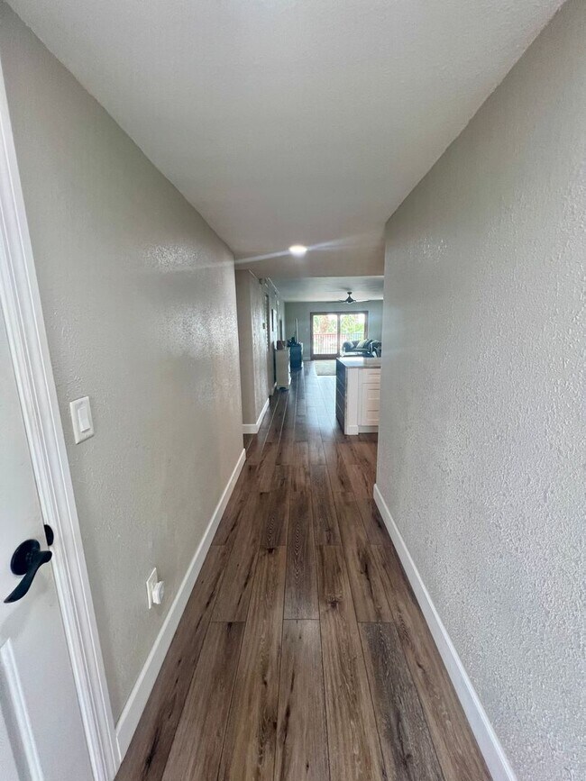 Foto del edificio - Treasure Island annual rental 2/2 waterfront
