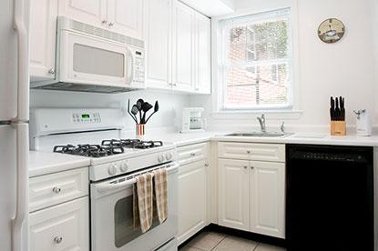 Photo - 2.0 bedroom in Brookline Massachusetts 02467 Apartment