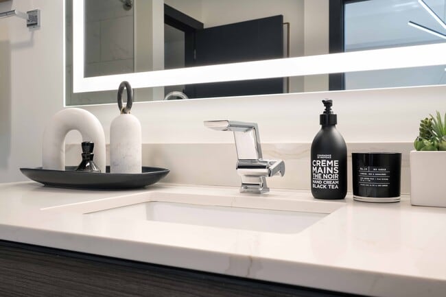B1 Bathroom - 220 Meridian