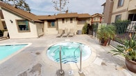 The spa and pool area at 2130 S Santa Fe in Vista offers a well-appointed outdoor retreat designed for relaxation and recreation. The centerpiece of the space is a circular hot tub, finished with decorative tile accents and equipped with stainless steel entry rails, set into a broad concrete surround. Active jets keep the water bubbling, creating an inviting atmosphere for soaking.

Adjacent to the hot tub is a generously sized swimming pool with clear, blue water and stainless steel entry rails. The pool deck is finished in smooth concrete and furnished with reclining lounge chairs and shaded seating areas featuring wicker chairs and large woven umbrellas, providing comfortable spots to unwind poolside.

A striking hand-painted beach mural decorates one of the perimeter walls, depicting a tropical shoreline complete with palm trees and ocean scenery, contributing a lively, resort-like ambiance to the space. Potted palm trees and manicured greenery are positioned throughout the area, enhancing the tropical aesthetic.

The surrounding buildings feature stucco exteriors with brown-trimmed rooflines, and the pool area is enclosed by iron fencing for privacy and security. The space is open to the sky, allowing for ample natural light throughout the day.