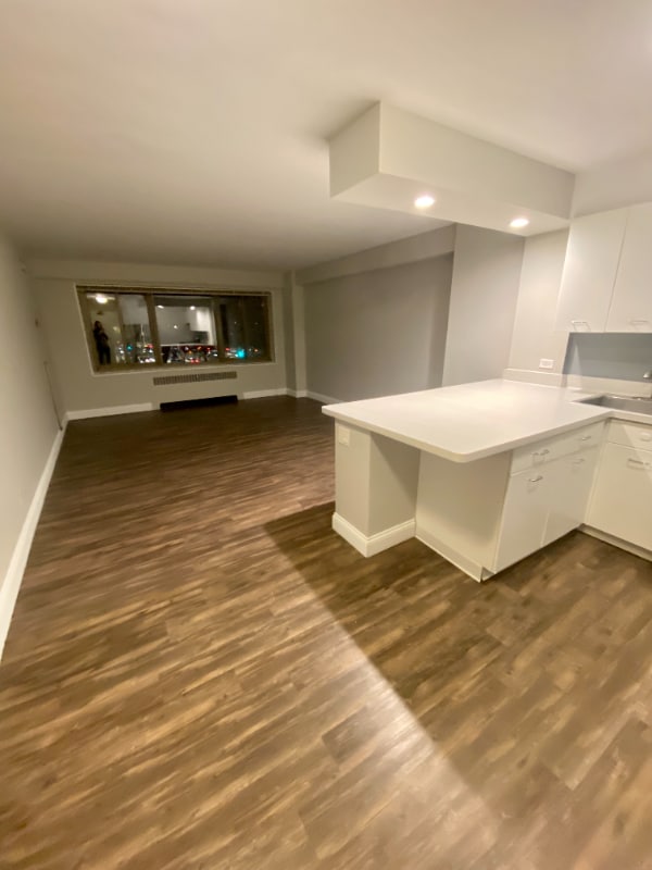 1345 N Astor St Unit 1509, Chicago, IL 60610 Room for Rent in Chicago