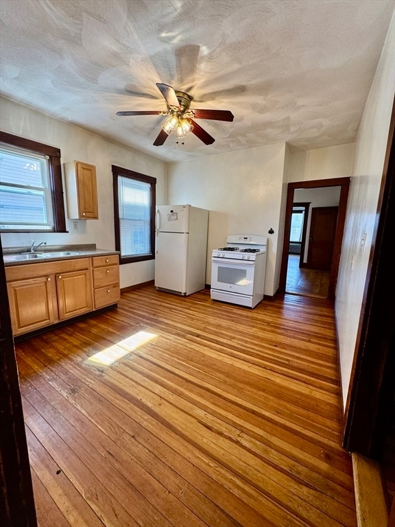 Building Photo - 64 Wellington Rd