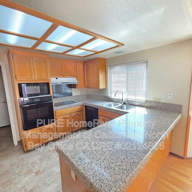 Building Photo - 2113 Appaloosa Cir