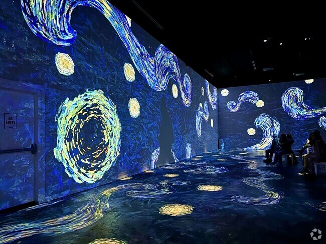The Van Gogh Exhibit is full of art installations inspired by Van Gogh in Dignowity Hill TX.