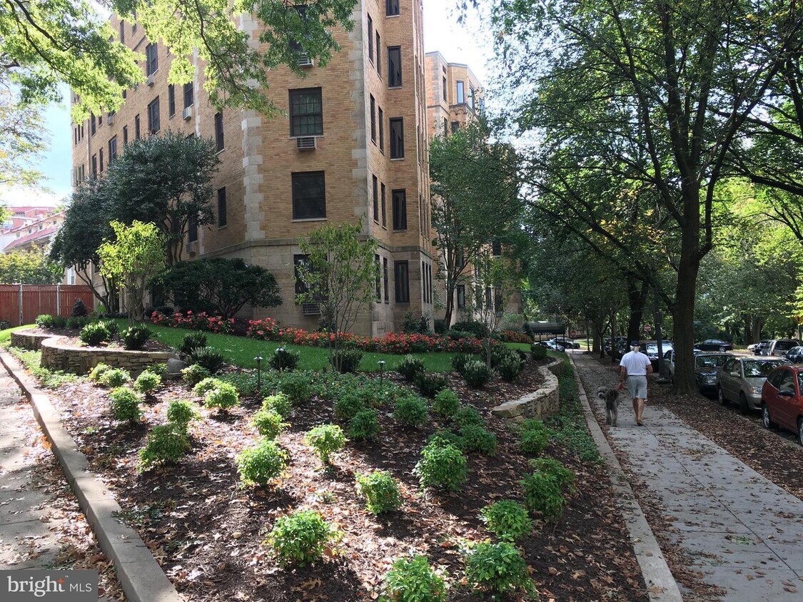 2032 Belmont Rd NW Unit 305, Washington, DC 20009 Condo for Rent in Washington, DC