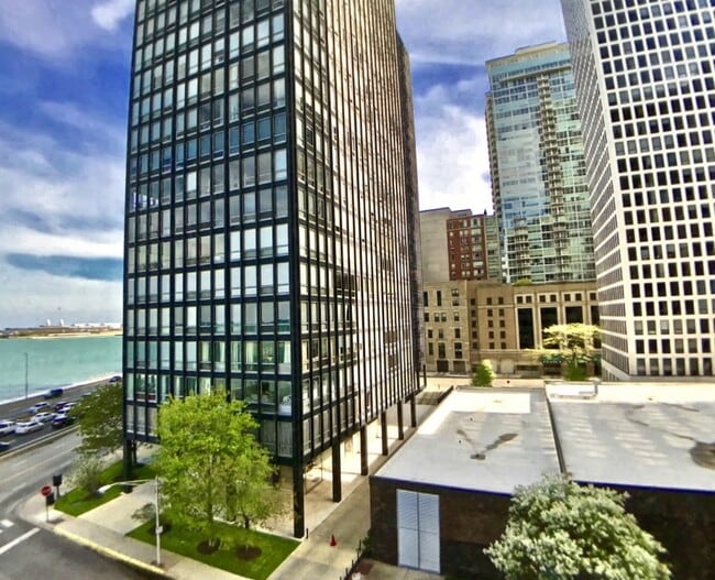 Building Photo - 900 N Lake Shore Dr