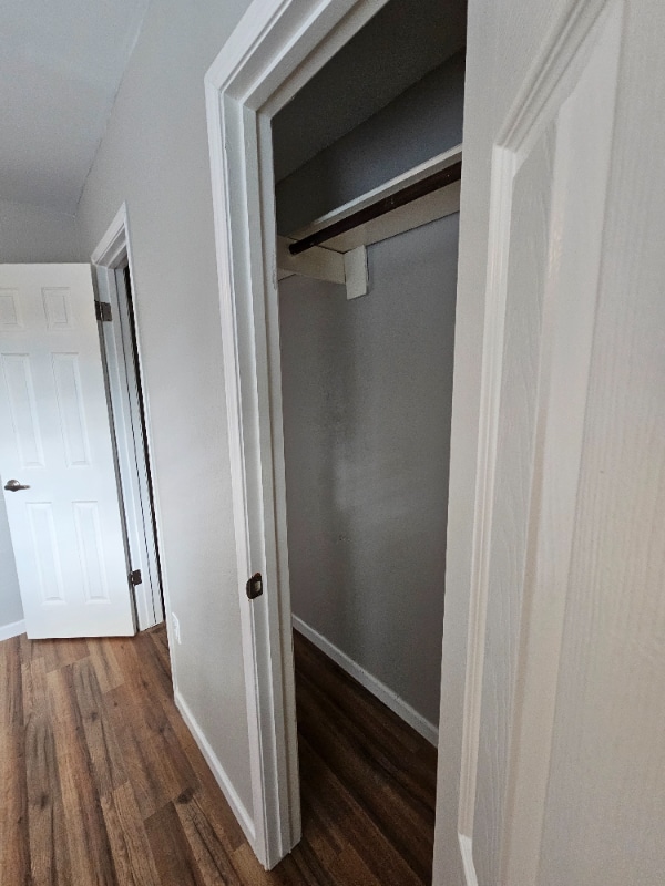 Photo - 19403 Youngtree Cir House