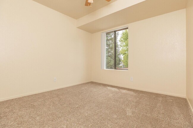 Foto del interior - Windscape
