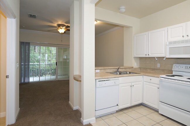 Magnolia Place Apartments Gainesville Florida Magnolia Place Apartments Gainesville Florida
