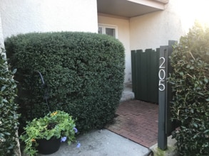 Building Photo - 205 Ventura Pl