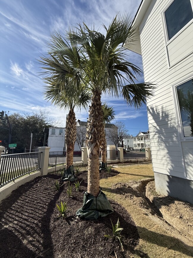 Building Photo - 89 Fishburne St