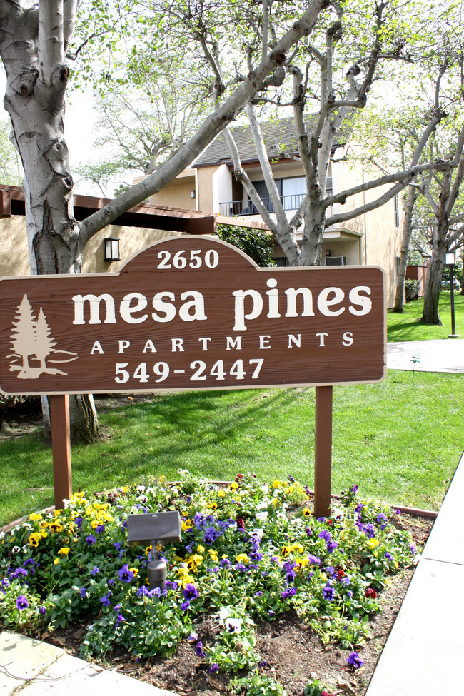 Mesa Pinese - Mesa Pines