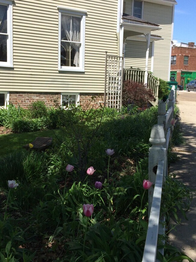 Side garden under kitchen windows. - 14314 S Union Ave