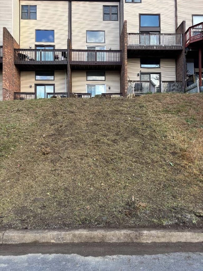 Building Photo - 3226 Brookline Rd